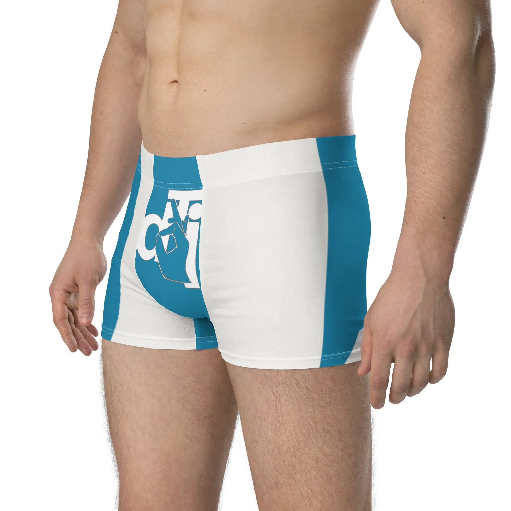 Descendants of The Island Perlorous Boxer Briefs
