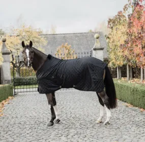 Stable Rug 0g