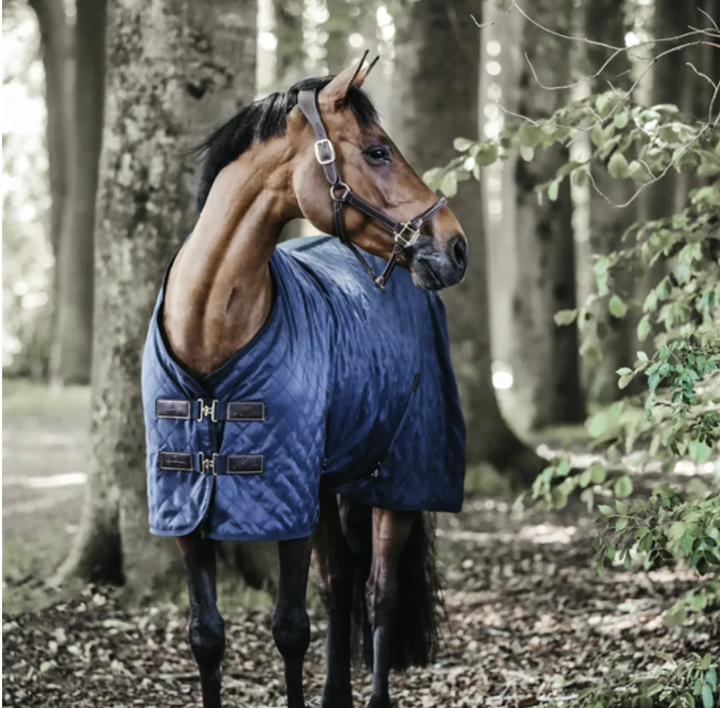 Stable Rug 0g
